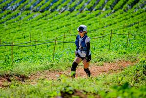 BIB: 
                            <button type="button" onclick="openModal(19163420)" class="btn btn-primary btn-sm float-right btn-popup" data-toggle="modal" data-target=".modal-high-quality">
                        <i class="fas fa-shopping-cart"></i> Add to Cart
                    </button>
                                            <button type="button" onclick="isThisMe(19163420, true)" class="btn btn-success btn-sm float-right btn-popup btn-isme hidden" data-toggle="tooltip" data-placement="bottom" title="นี่คือรูปของคุณใช่ไหม คลิกที่นี่เพื่อเอาเข้าอัลบั้ม">
                        <i class="fas fa-plus"></i> Add to album
                    </button>
                    <button type="button" onclick="isThisMe(19163420, false)" class="btn btn-warning btn-sm float-right btn-popup btn-isnotme hidden">
                        <i class="fas fa-ban"></i> Remove from album
                    </button>